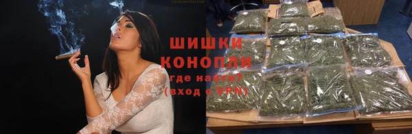 сатива Верея