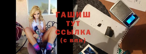 сатива Верея