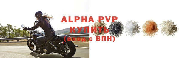 сатива Верея