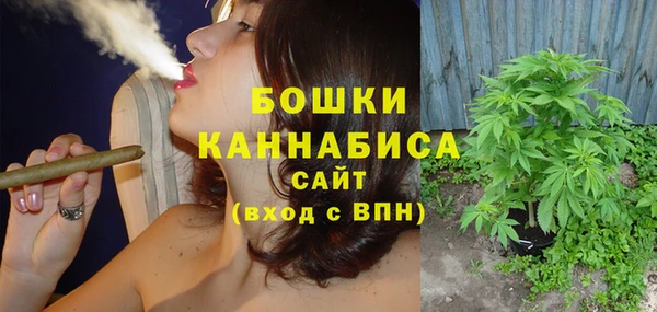 сатива Верея