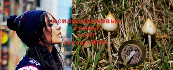 МДПВ Верхний Тагил