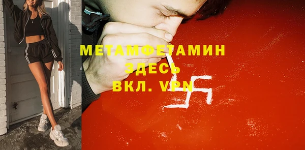 сатива Верея