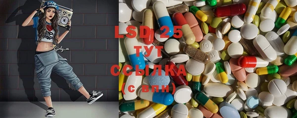 сатива Верея